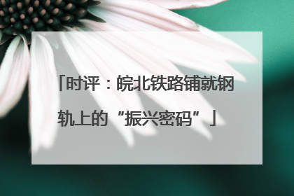时评：皖北铁路铺就钢轨上的“振兴密码”