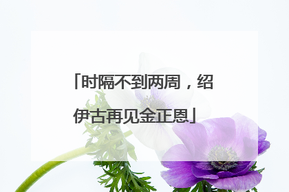 时隔不到两周，绍伊古再见金正恩