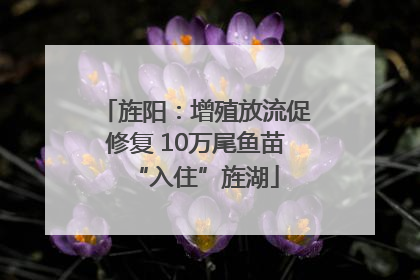 旌阳：增殖放流促修复 10万尾鱼苗“入住”旌湖