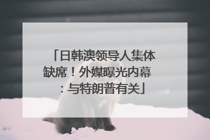 日韩澳领导人集体缺席！外媒曝光内幕：与特朗普有关