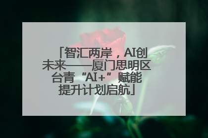智汇两岸，AI创未来——厦门思明区台青“AI+”赋能提升计划启航