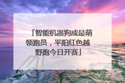 智能机器狗成最萌领跑员，平阳红色越野跑今日开赛