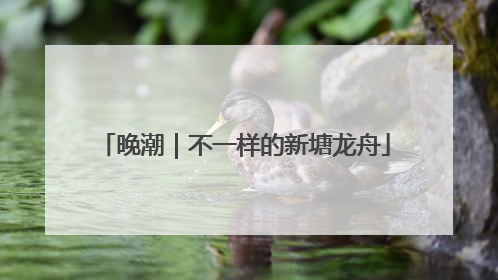 晚潮｜不一样的新塘龙舟