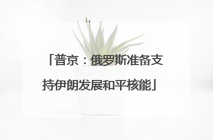 普京：俄罗斯准备支持伊朗发展和平核能