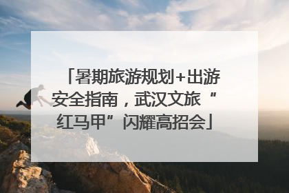 暑期旅游规划+出游安全指南，武汉文旅“红马甲”闪耀高招会