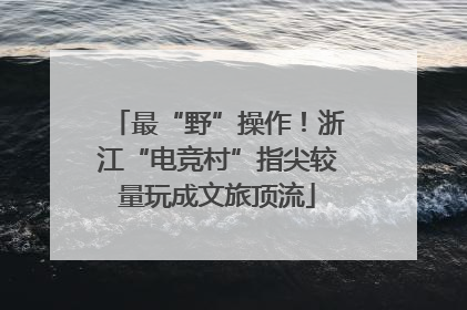 最“野”操作！浙江“电竞村”指尖较量玩成文旅顶流