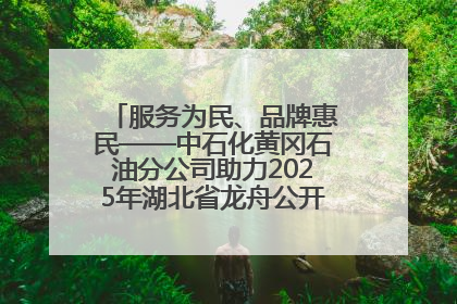 服务为民、品牌惠民——中石化黄冈石油分公司助力2025年湖北省龙舟公开赛（黄冈站）