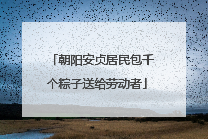 朝阳安贞居民包千个粽子送给劳动者