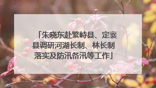 朱晓东赴繁峙县、定襄县调研河湖长制、林长制落实及防汛备汛等工作