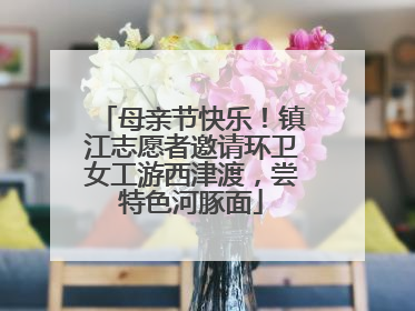 母亲节快乐！镇江志愿者邀请环卫女工游西津渡，尝特色河豚面