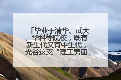毕业于清华、武大、华科等院校，既有新生代又有中生代，光谷这支“理工男团”为何“出道”？