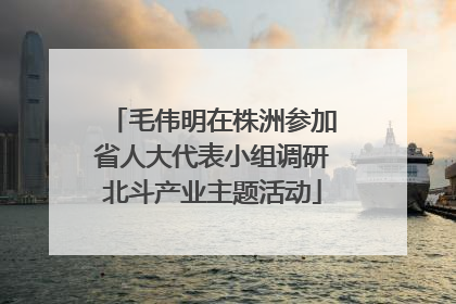 毛伟明在株洲参加省人大代表小组调研北斗产业主题活动