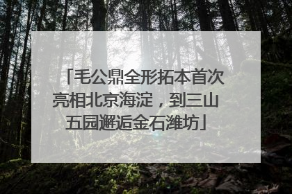 毛公鼎全形拓本首次亮相北京海淀，到三山五园邂逅金石潍坊