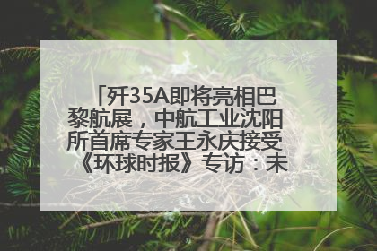 歼35A即将亮相巴黎航展，中航工业沈阳所首席专家王永庆接受《环球时报》专访：未来数量可以有很多