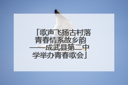 歌声飞扬古村落 青春情系故乡韵——成武县第二中学举办青春歌会