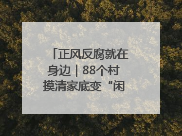 正风反腐就在身边｜88个村摸清家底变“闲”为“宝”