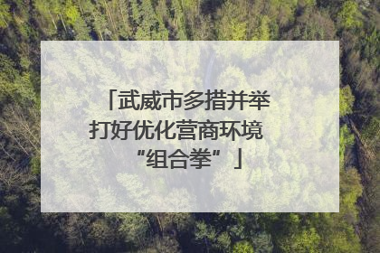 武威市多措并举打好优化营商环境“组合拳”