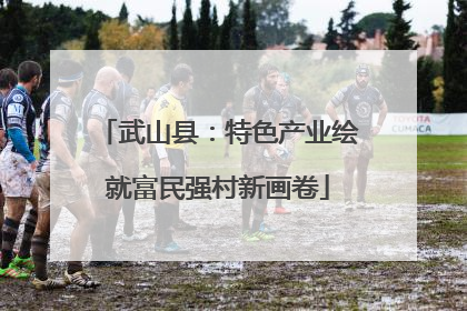 武山县：特色产业绘就富民强村新画卷
