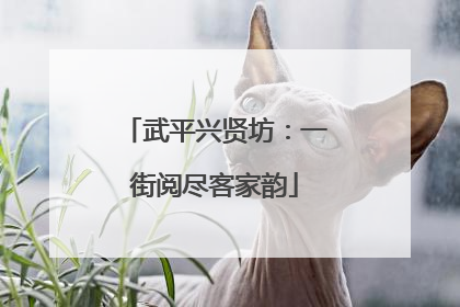 武平兴贤坊：一街阅尽客家韵