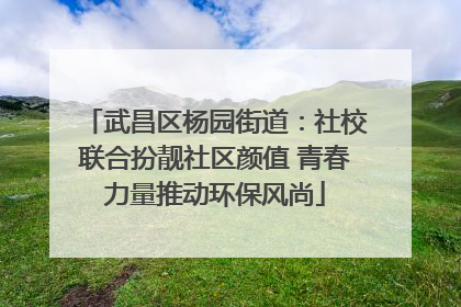 武昌区杨园街道：社校联合扮靓社区颜值 青春力量推动环保风尚