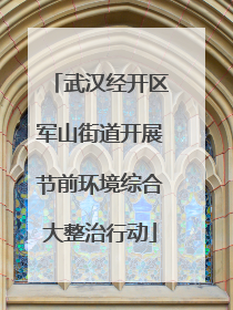 武汉经开区军山街道开展节前环境综合大整治行动