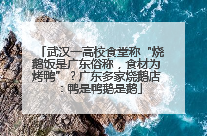 武汉一高校食堂称“烧鹅饭是广东俗称，食材为烤鸭”？广东多家烧鹅店：鸭是鸭鹅是鹅