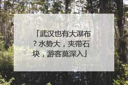 武汉也有大瀑布？水势大，夹带石块，游客莫深入