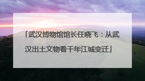 武汉博物馆馆长任晓飞：从武汉出土文物看千年江城变迁