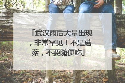 武汉雨后大量出现，非常罕见！不是蘑菇，不要随便吃