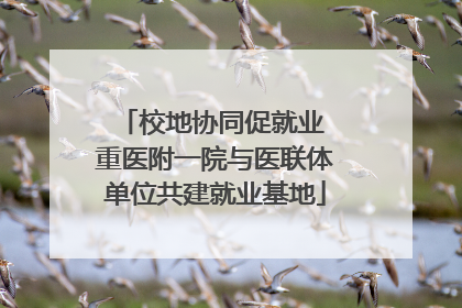 校地协同促就业 重医附一院与医联体单位共建就业基地