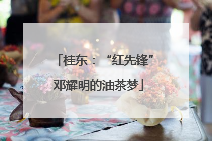 桂东：“红先锋”邓耀明的油茶梦