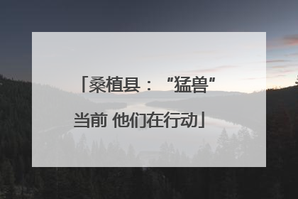 桑植县：“猛兽”当前 他们在行动