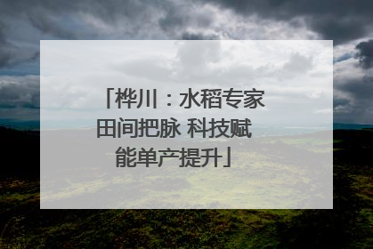 桦川：水稻专家田间把脉 科技赋能单产提升