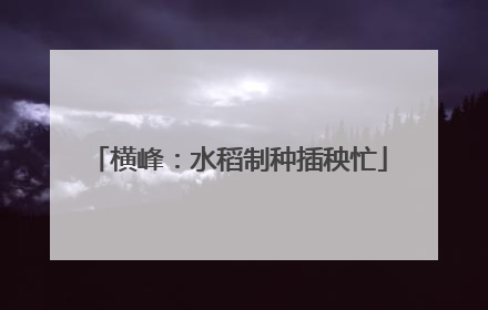 横峰：水稻制种插秧忙