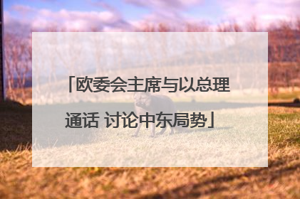 欧委会主席与以总理通话 讨论中东局势