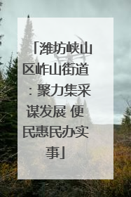 潍坊峡山区岞山街道：聚力集采谋发展 便民惠民办实事