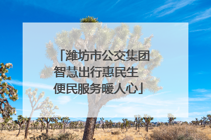 潍坊市公交集团智慧出行惠民生 便民服务暖人心