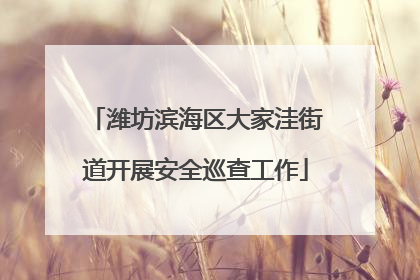 潍坊滨海区大家洼街道开展安全巡查工作