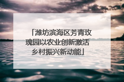 潍坊滨海区芳青玫瑰园以农业创新激活乡村振兴新动能