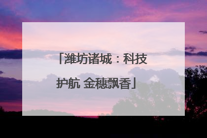 潍坊诸城：科技护航 金穗飘香