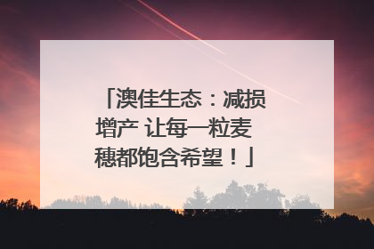 澳佳生态：减损增产 让每一粒麦穗都饱含希望！