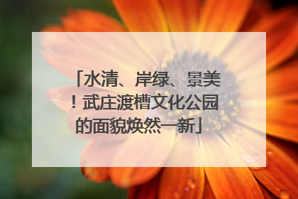水清、岸绿、景美！武庄渡槽文化公园的面貌焕然一新