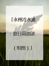 永州冷水滩：夏日荷韵浓（组图）