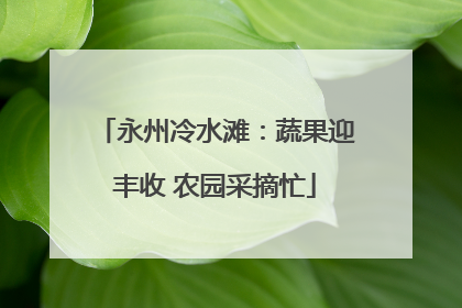 永州冷水滩：蔬果迎丰收 农园采摘忙