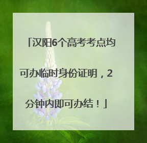 汉阳6个高考考点均可办临时身份证明，2分钟内即可办结！