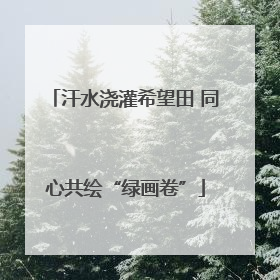 汗水浇灌希望田 同心共绘“绿画卷”