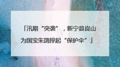 汛期“突袭”，新宁县崀山为国宝朱鹮撑起“保护伞”
