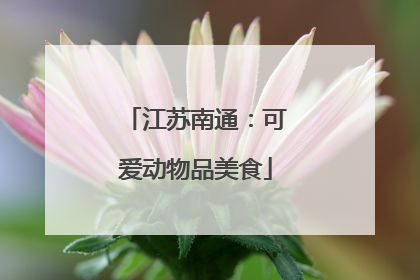 江苏南通：可爱动物品美食