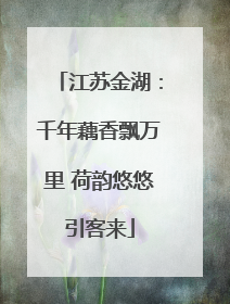 江苏金湖：千年藕香飘万里 荷韵悠悠引客来