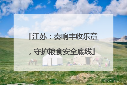 江苏：奏响丰收乐章，守护粮食安全底线